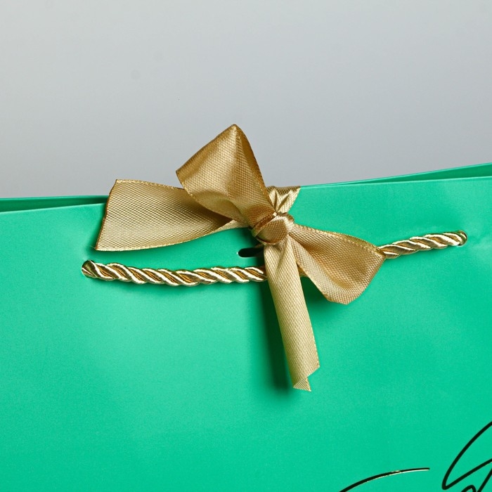 Пакет подарочный, упаковка, «Можно всё», 30 х 27.5 х 12 см Пакет подарочный, упаковка, «Можно всё», 30 х 27.5 х 12 см