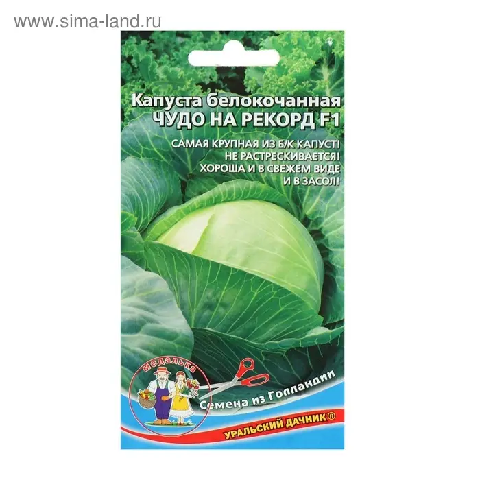 Семена Капусты белокочанной Семена Капусты белокочанной "Чудо на рекорд" F1 позднеспелый,крупнокочанный, 0,3 г