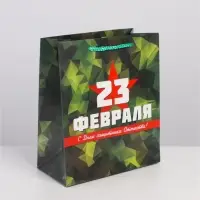 Пакет подарочный ламинированный, упаковка, &laquo;С 23 февраля&raquo;, ML 23&times;27&times;11.5 см