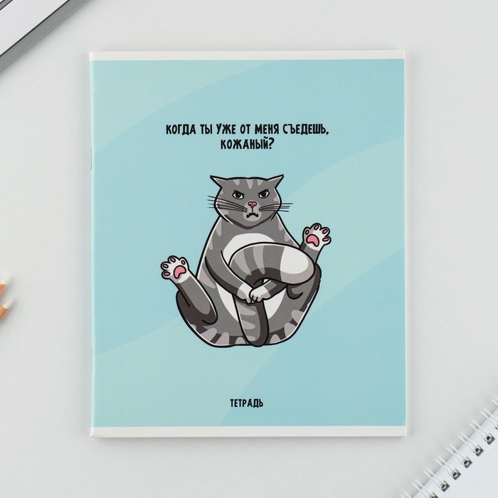 Тетрадь в клетку, 48 листов А5 на скрепке МИКС «1 сентября: Котики», обложка мелованный картон 230 гр внутренний блок №1, белизна 96% Тетрадь в клетку, 48 листов А5 на скрепке МИКС «1 сентября: Котики», обложка мелованный картон 230 гр внутренний блок №1, белизна 96%