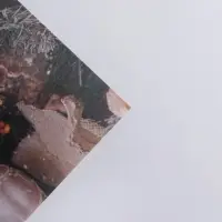 Бумага упаковочная крафтовая «Торжество у ёлки», 50 х 70 см Бумага упаковочная крафтовая «Торжество у ёлки», 50 х 70 см