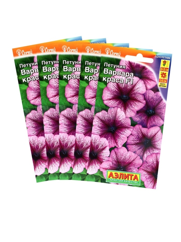 Семена цветов Петуния Семена цветов Петуния "Варвара Краса F1" многоцветковая, набор 5 шт