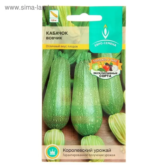 Семена Кабачок  Семена Кабачок "Вовчик", раннеспелый, белоплодный, универсальный, 1 г