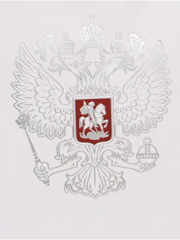 Пакет подарочный &laquo;Россия&raquo;, 25.5&times;30&times;9 см