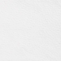 Салфетки бумажные 1 сл. 33х33 белые 250 шт./уп