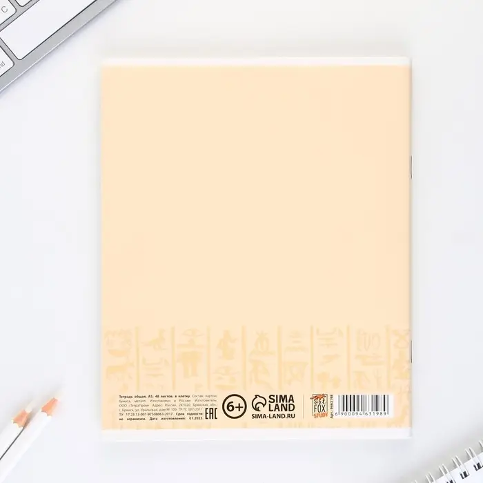 Тетрадь в клетку, предметная, 48 л.,на скрепке, А5 &laquo;МИНИМАЛИЗМ. История&raquo;