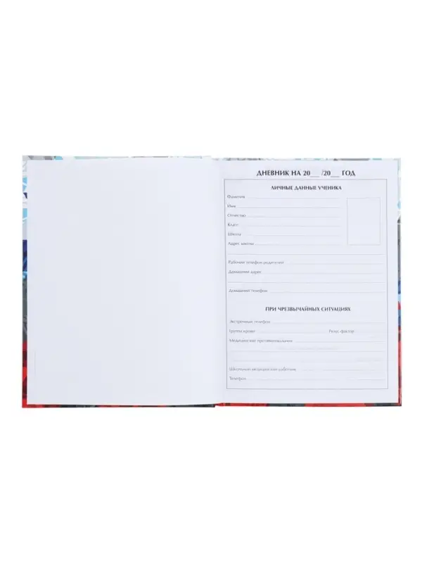 Дневник школьный для 1-11 классов, &laquo;Россия геометрия&raquo;, твёрдая обложка 7БЦ, глянцевая ламинация, 40 листов