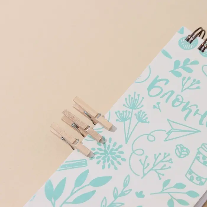 Прищепки Доляна, деревянные, 2.5&times;0.7 см, 24 шт.