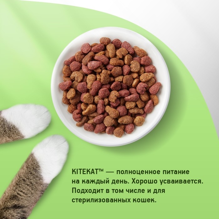 Сухой корм KiteKat  Сухой корм KiteKat "Аппетитная телятинка" для кошек, 350 г