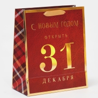 Пакет подарочный новогодний ламинированный «С Новым Годом», 21,5 х 25 х 10 см, Новый год