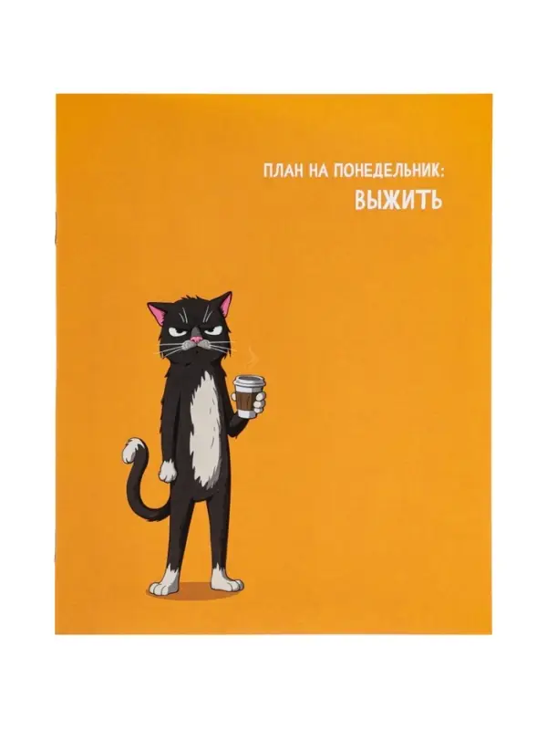 Тетрадь 24 листа в линейку Calligrata &laquo;Кошачьи мемы&raquo;, блок офсет, 5 В МИКС