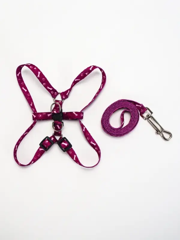Шлейка с поводком &laquo;Классика&raquo;, ОГ 28-47 см, поводок 120&times;1 см, фиолетовая