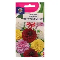 Набор семян Цв Георгина Смесь "Экстрим", 5 шт. Набор семян Цв Георгина Смесь "Экстрим", 5 шт.