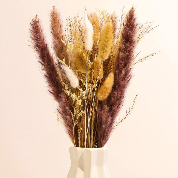 Сухоцветы «Лагурус», набор из 3 видов, 48 × 16 × 6 см