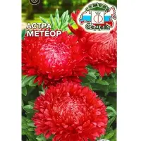 Семена Цветок Астра "Метеор  "0.2 г