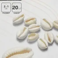 Бусины для творчества &laquo;Ракушка&raquo;, 2&times;1 см, необычная,14-18 мм, набор 20 шт., белые