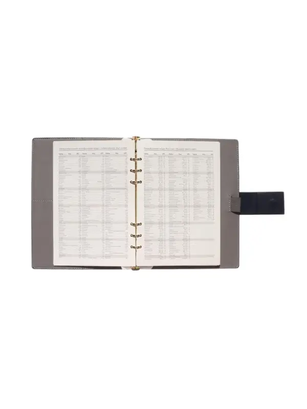 Органайзер на кольцах, А5, с хлястиком, 80л, линия, к/зам, Синий Органайзер на кольцах, А5, с хлястиком, 80л, линия, к/зам, Синий