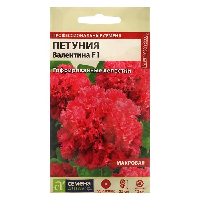 Семена цветов Петуния Семена цветов Петуния "Валентина", махровая F1, Сем. Алт, ц/п, 10 шт