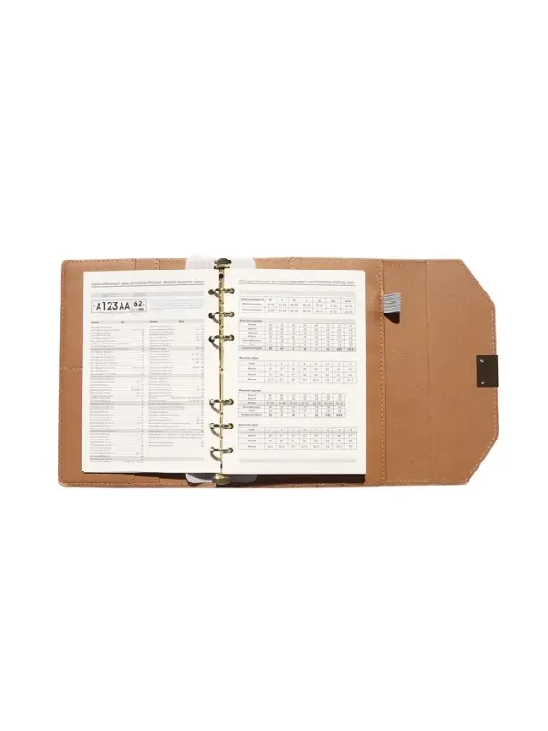 Органайзер на кольцах, C6, с клапаном, 80л, линия, к/зам, Бежевый Органайзер на кольцах, C6, с клапаном, 80л, линия, к/зам, Бежевый