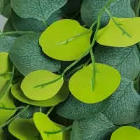 Цветы искусственные «Эвкалипт популус», h=96 см, зелёные Цветы искусственные «Эвкалипт популус», h=96 см, зелёные