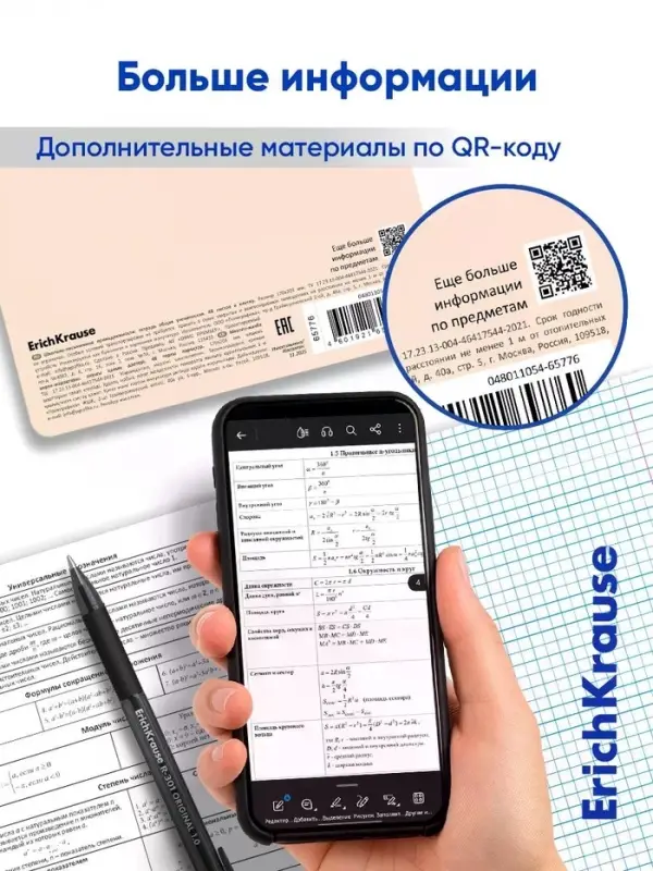 Комплект тетрадей 48 листов в клетку/линейку ErichKrause Study Buddy, 12 штук
