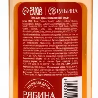 URAL LAB Арома Саунд Набор гель для душа и бомбочка для ванны, 100 гр, мандарин
