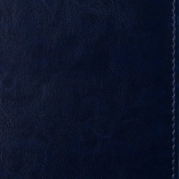 Ежедневник недатированный синий, А5, 148x218, 352стр, Agenda