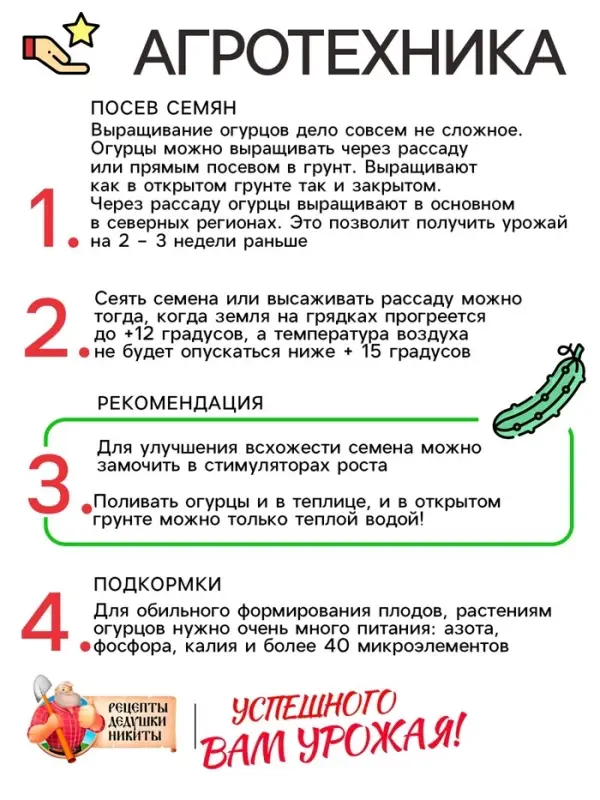 Семена Огурец &laquo;Китайские змеи&raquo;, 0.4 г, &laquo;Рецепты дедушки Никиты&raquo;