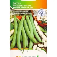 Семена Фасоль "Московская белая зеленостручковая 556" 8 г Семена Фасоль "Московская белая зеленостручковая 556" 8 г