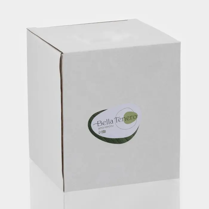 Банка для сыпучих BellaTenero &laquo;Эко&raquo;, 500 мл, 10.5&times;8.2&times;10.5 см, с бамбуковой крышкой и ложкой, стекло, прозрачная