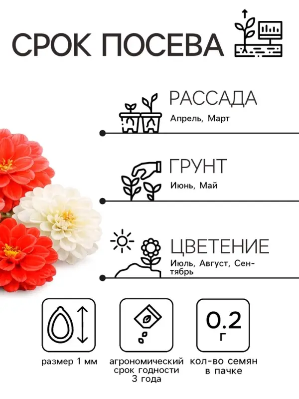 Семена цветов Георгина махровая &laquo;Опера&raquo;, 0.2 г, &laquo;Рецепты дедушки Никиты&raquo;