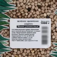 Семена &laquo;Люпин узколистный&raquo; удобрение (Сидерат), 1 кг