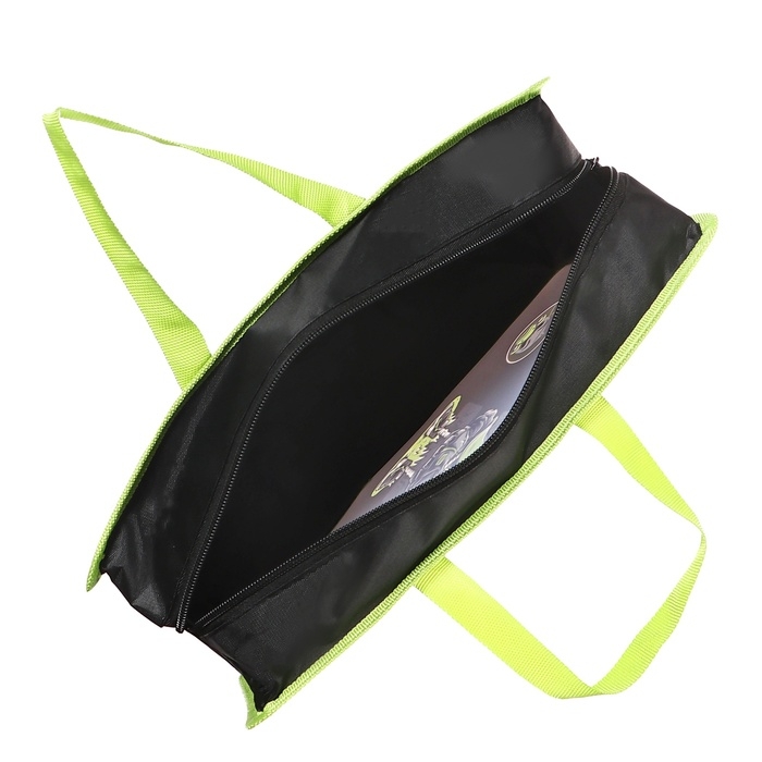 Папка с ручками А4, 335 х 260 х 100 мм, пластиковая, ручки-текстиль, deVENTE Cool Duck чёрная/зелёная