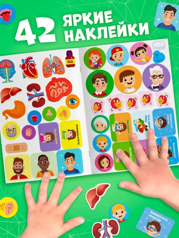 Наклейки &laquo;Секреты тела человека&raquo;, 16 стр.