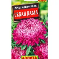 Семена цветов Астра Седая дама , Ц/П,0,2 г Семена цветов Астра Седая дама , Ц/П,0,2 г