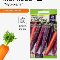 Семена Морковь столовая &laquo;Чурчхела фиолетовая&raquo;, 0.2 г, &laquo;Семена Алтая&raquo;