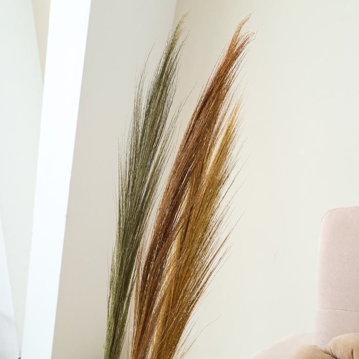 Сухоцветы для декора «Камыш», набор 5 шт. 113 × 5 × 5 см