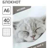 Блокнот А6, 40 листов в клетку &laquo;Спящий кот&raquo;, твёрдая обложка, глянцевая ламинация, блок офсет