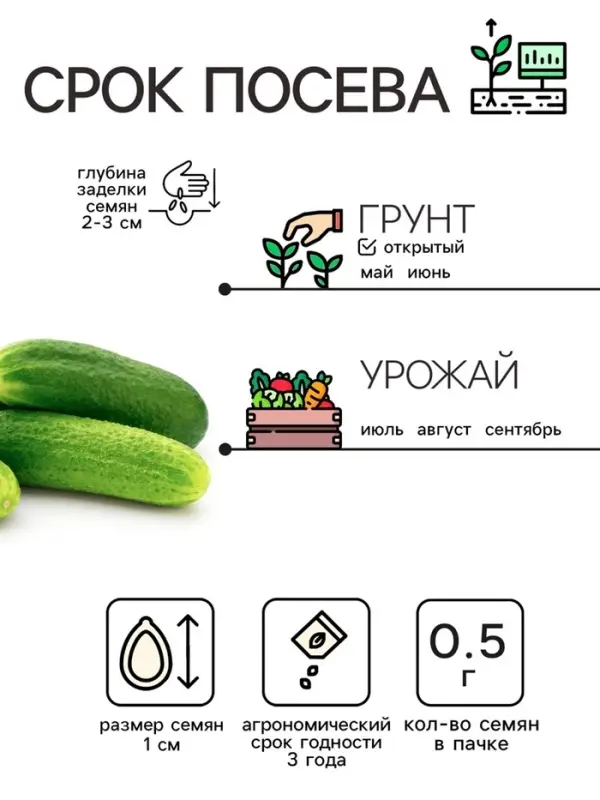 Семена Огурец «Феникс», пчелоопыляемый, среднеспелый, 0.5 г