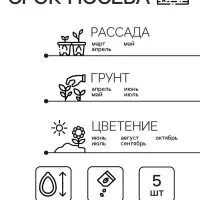 Семена комнатных цветов Кальцеолярия &laquo;Башмачки&raquo;, F1, 5 шт., &laquo;Агроуспех&raquo;