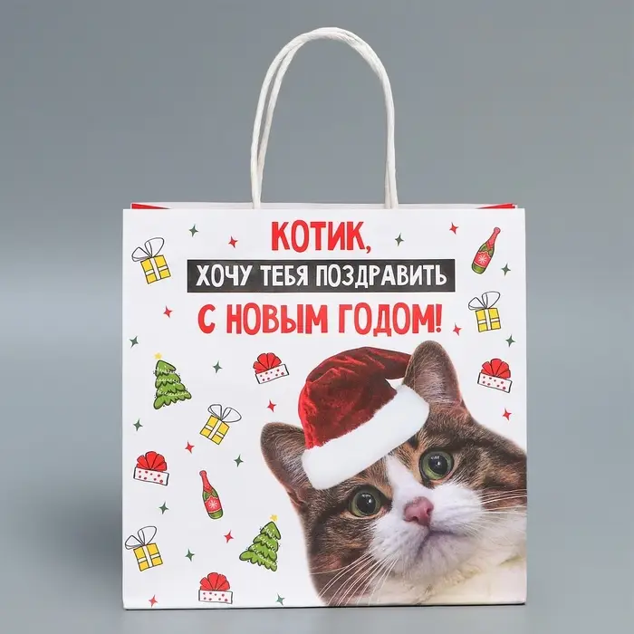 Пакет подарочный новогодний крафтовый &laquo;Котик&raquo;, 22&times;22&times;11 см