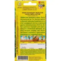 Набор семян Кобея "Гжельские узоры", 4 шт. Набор семян Кобея "Гжельские узоры", 4 шт.