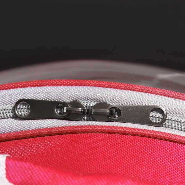 Рюкзак для переноски кошек и собак, прозрачный, 31 х 28 х 42 см, красный Рюкзак для переноски кошек и собак, прозрачный, 31 х 28 х 42 см, красный