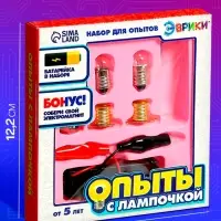 Набор для опытов &laquo;Опыты с лампочкой&raquo;