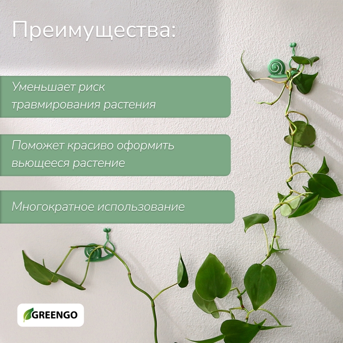 Крепления для вьющихся растений, настенные, самоклеящиеся, «Улитка», d = 10 мм, набор 10 шт., Greengo