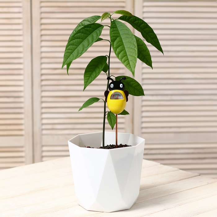 Измеритель влажности почвы «Пчёлка» Измеритель влажности почвы «Пчёлка»