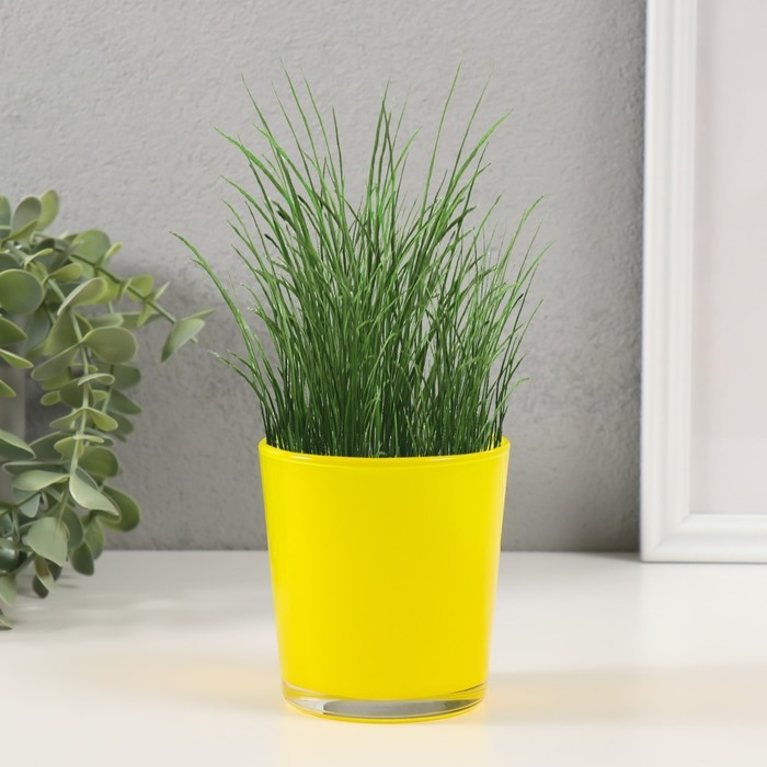 Набор для выращивания растений Набор для выращивания растений "Вырасти травку" желтый