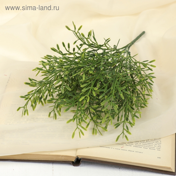 Букет Букет "Адиантум" 35 см