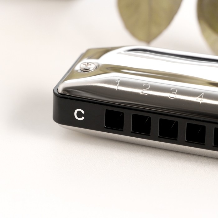 Губная гармошка Music Life T002 C диатоническая, 10 отверстий, с футляром Губная гармошка Music Life T002 C диатоническая, 10 отверстий, с футляром