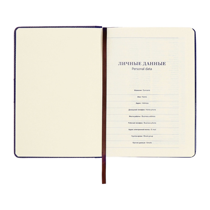 Органайзер на кольцах, А5, 128л, клетка, обл.кожзам, с хлястиком, Узоры, синий Органайзер на кольцах, А5, 128л, клетка, обл.кожзам, с хлястиком, Узоры, синий